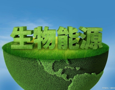 《中国能源报》：生物质能源利用将迎来加速跑
